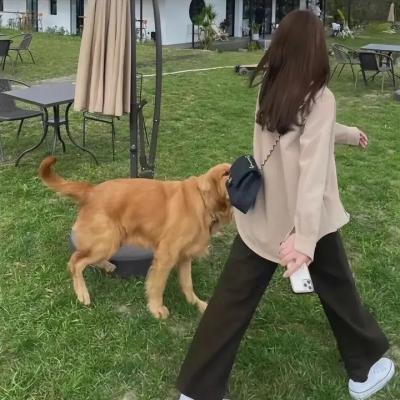 《儿女传奇之鬼胎》海报